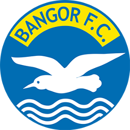 Bangor FC U13 Girls